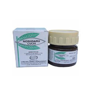 Noshdaru Lulvi