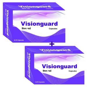 Vision Guard